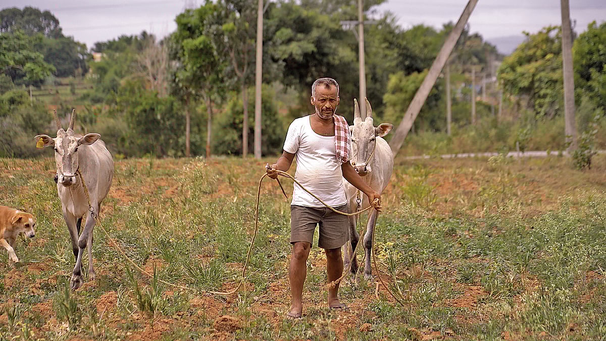 ರೈತರಲ್ಲಿ ಆತಂಕ, ರಿಯಲ್ ಎಸ್ಟೇಟ್ ಉದ್ಯಮಿಗಳಿಗೆ ಸಂತಸ: ಜೀವ್ನಾನಾ? ಏರ್‌ಪೋರ್ಟಾ?