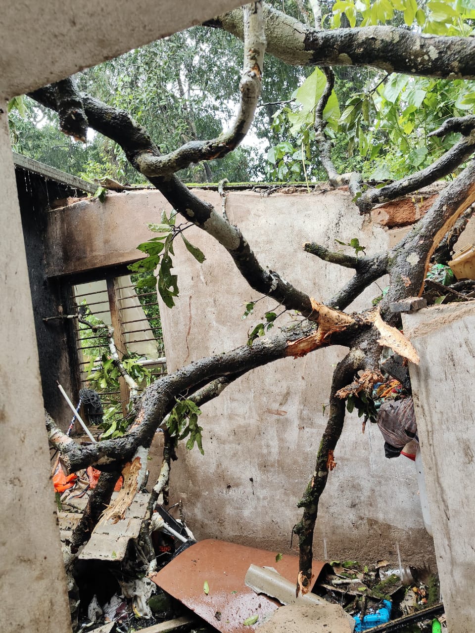 ಗುರಿಪಳ್ಳದ ಲೋಕೇಶ್ ಎಂಬುವರ ಮನೆಗೆ ಮರ ಬಿದ್ದು ಹಾನಿಯಾಗಿದೆ