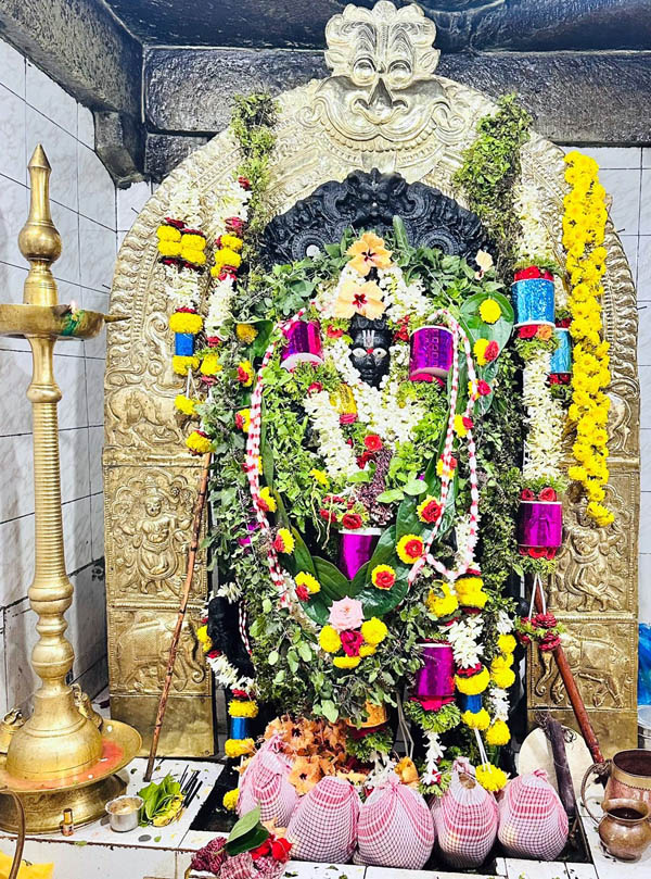 ಮಲೇಬೆನ್ನೂರು ಸಮೀಪದ ಜಿಗಳಿ ಗ್ರಾಮದರಂಗನಾಥ ಸ್ವಾಮಿಗೆ  ಶ್ರಾವಣ ಮಾಸದ ಮೊದಲ ಶನಿವಾರ ವಿಶೇಷ ಅಲಂಕಾರ ಮಾಡಿದ್ದರು