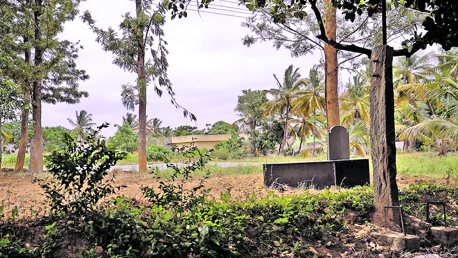 ಹೊಲಗಳಲ್ಲೇ ಇದೆ ಪೂರ್ವಜರ ಸಮಾಧಿ 