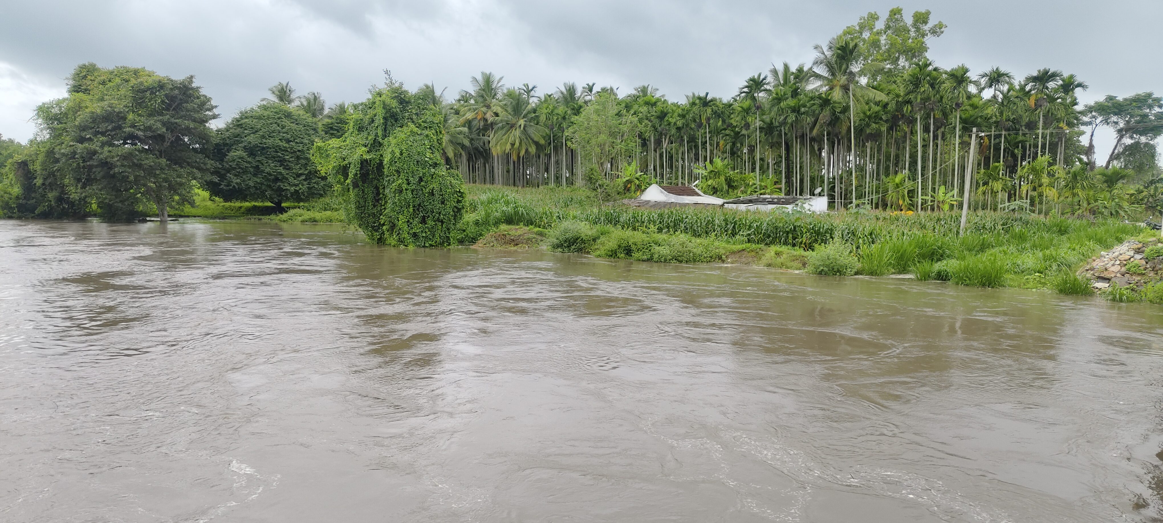 ಹಂಪಾಪುರ ಸಮೀಪದ ಎಚ್.ಮಟಕೆರೆ-ಹೊಸತೊರವಳ್ಳಿ ಸಂಪರ್ಕ ಸೇತುವೆ ಸಮೀಪ ಅಪಾಯ ಮಟ್ಟ ಮೀರಿ ನೀರು ಹರಿಯುತ್ತಿದ್ದು ಜಮೀನು ಮತ್ತು ಮನೆಗಳಿಗೆ ನೀರು ನುಗ್ಗಿದೆ