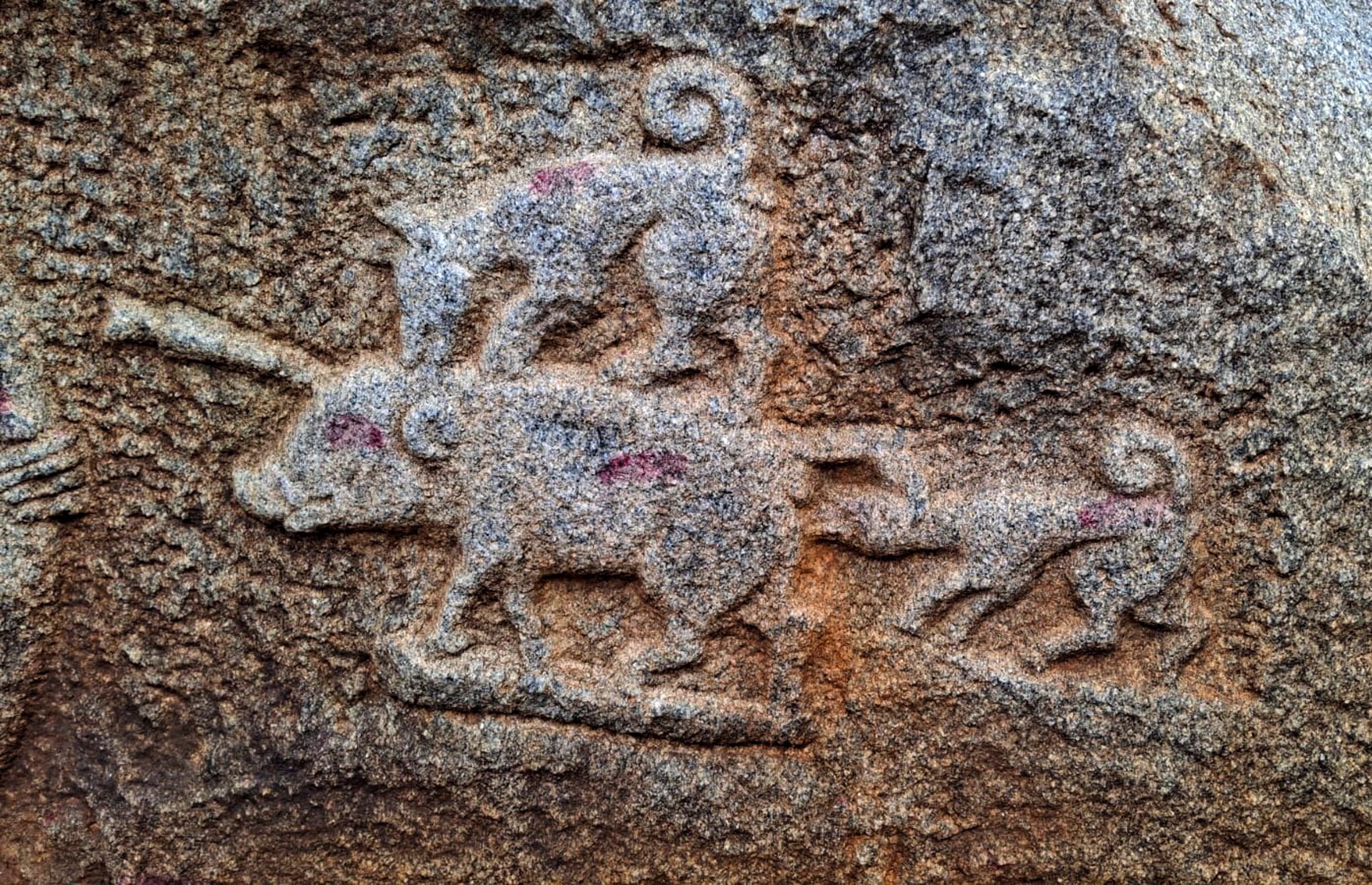 ಹಂದಿಬೇಟೆಯ ಚಿತ್ರಣ