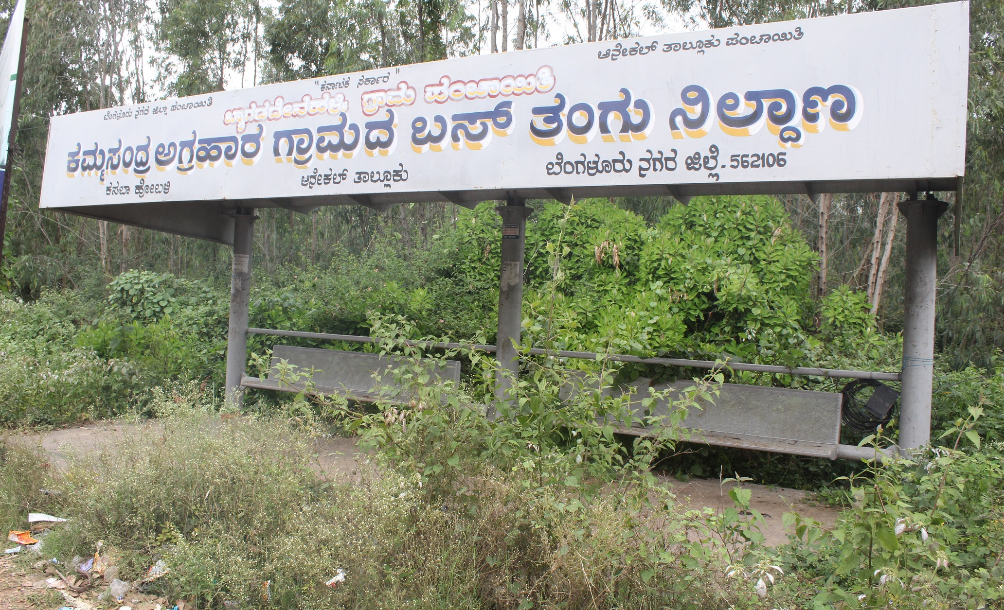 ಕಮ್ಮಸಂದ್ರ ಅಗ್ರಹಾರ ಬಸ್‌ ನಿಲ್ದಾಣದಲ್ಲಿ ಪಾರ್ಥೇನಿಯಂ ಗಿಡಗಳು ಬೆಳೆದಿರುವುದು