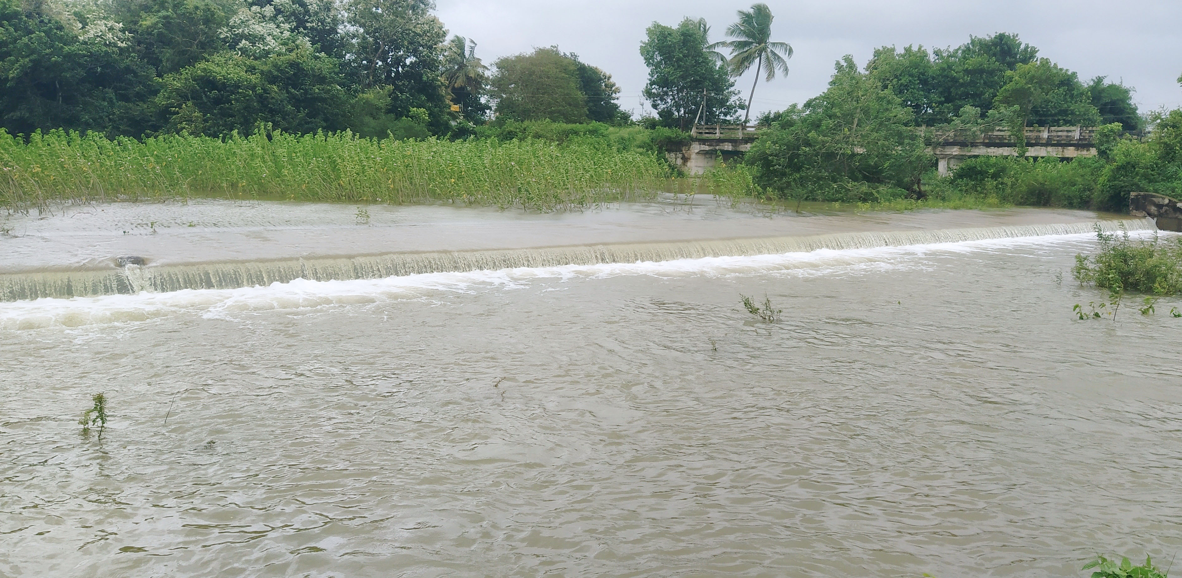 ತಿಳವಳ್ಳಿಯ ರೈತ ಜೀವನಾಡಿ ದೊಡ್ಡಕೆರೆ ಕೋಡಿ ಬಿದ್ದಿದೆ