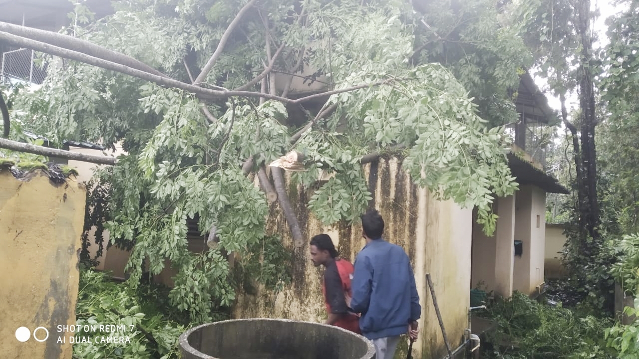 ಸುಂಟಿಕೊಪ್ಪ ಸಮೀಪದ ಹರದೂರು ಗ್ರಾಮ ಪಂಚಾಯಿತಿ ಕಟ್ಟಡದ ಮೇಲೆ ಭಾರೀ ಗಾತ್ರದ ಮರ ಬಿದ್ದು ಅಂಗನವಾಡಿ ಕೇಂದ್ರದ ಶೌಚಾಲಯ ಹಾನಿಯಾಗಿರುವುದು