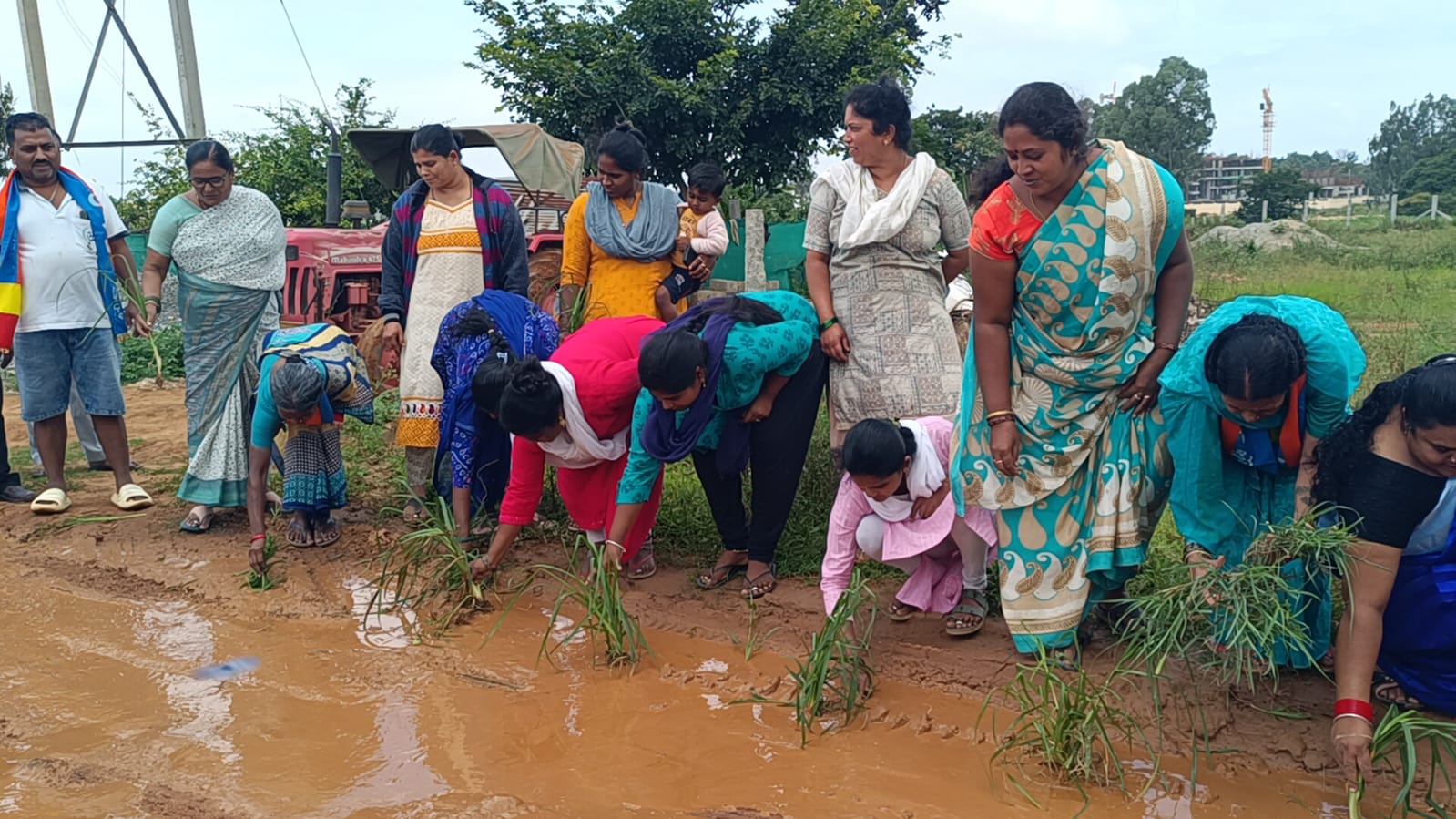 ಕೆಸರುಗದ್ದೆಯಂತಿರುವ ರಸ್ತೆಯಲ್ಲಿ ಪೈರು ನಾಟಿ ಮಾಡಿದ ಮಹಿಳೆಯರು