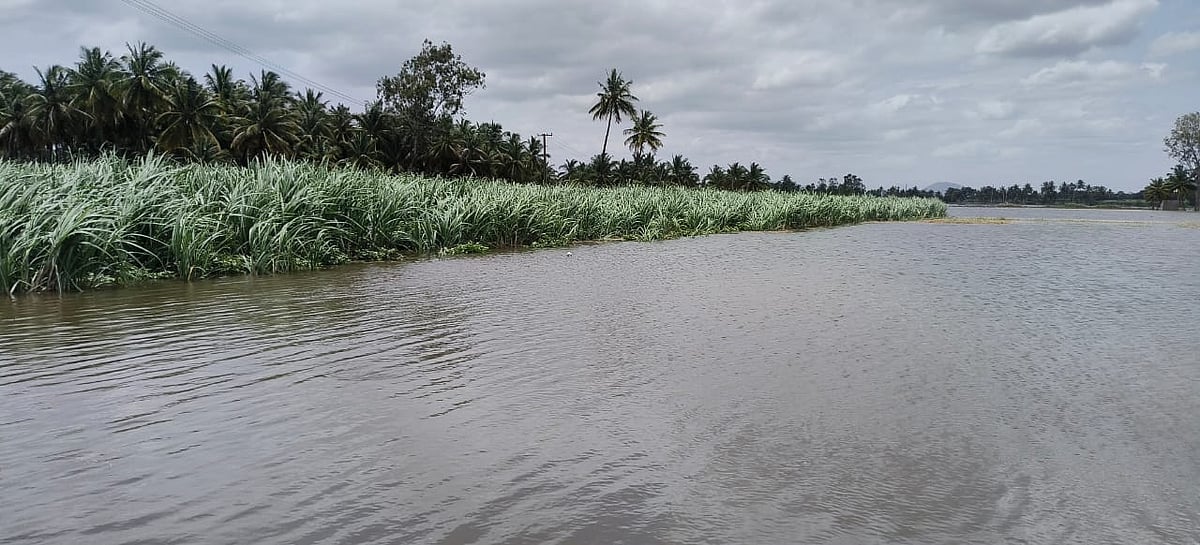 ಕೆಆರ್‌ಎಸ್‌, ಕಬಿನಿಯಿಂದ ನೀರು: 9 ಗ್ರಾಮದಲ್ಲಿ ಕಾಳಜಿ ಕೇಂದ್ರಕ್ಕೆ ಸಿದ್ಧತೆ