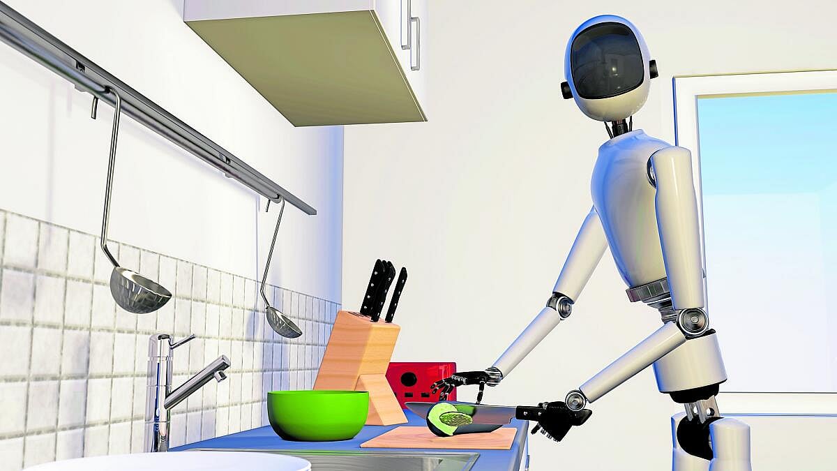 Humanoid Robot | ಹ್ಯೂಮನಾಯ್ಡ್‌ಗಳ ಬೆಲೆಯ ಜಗಳ!