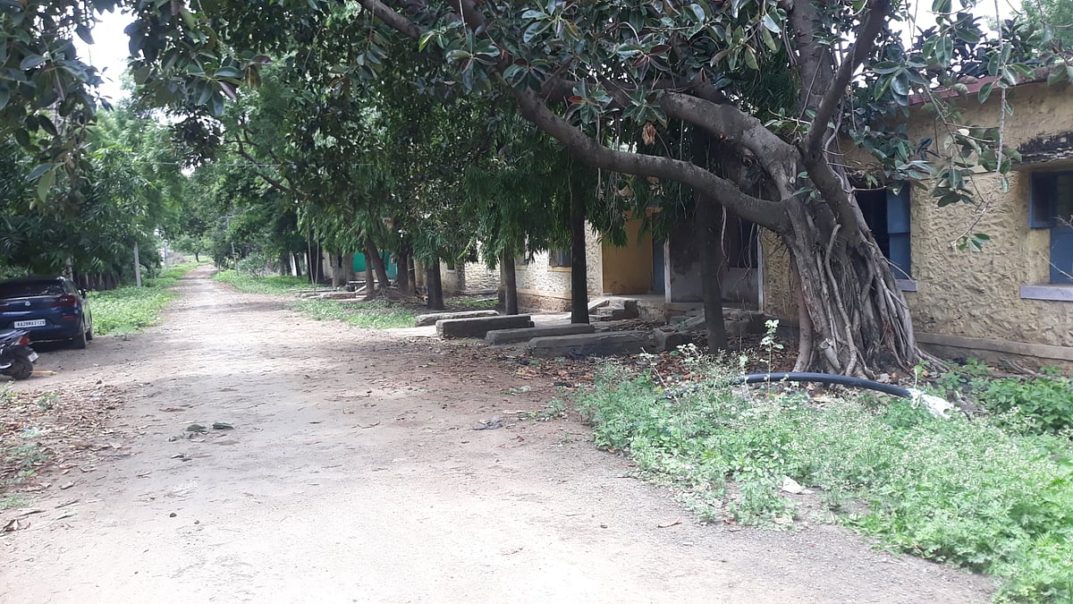 ಆಲಮೇಲಕ್ಕೆ ಬೇಕಿದೆ ಪದವಿ ಕಾಲೇಜು