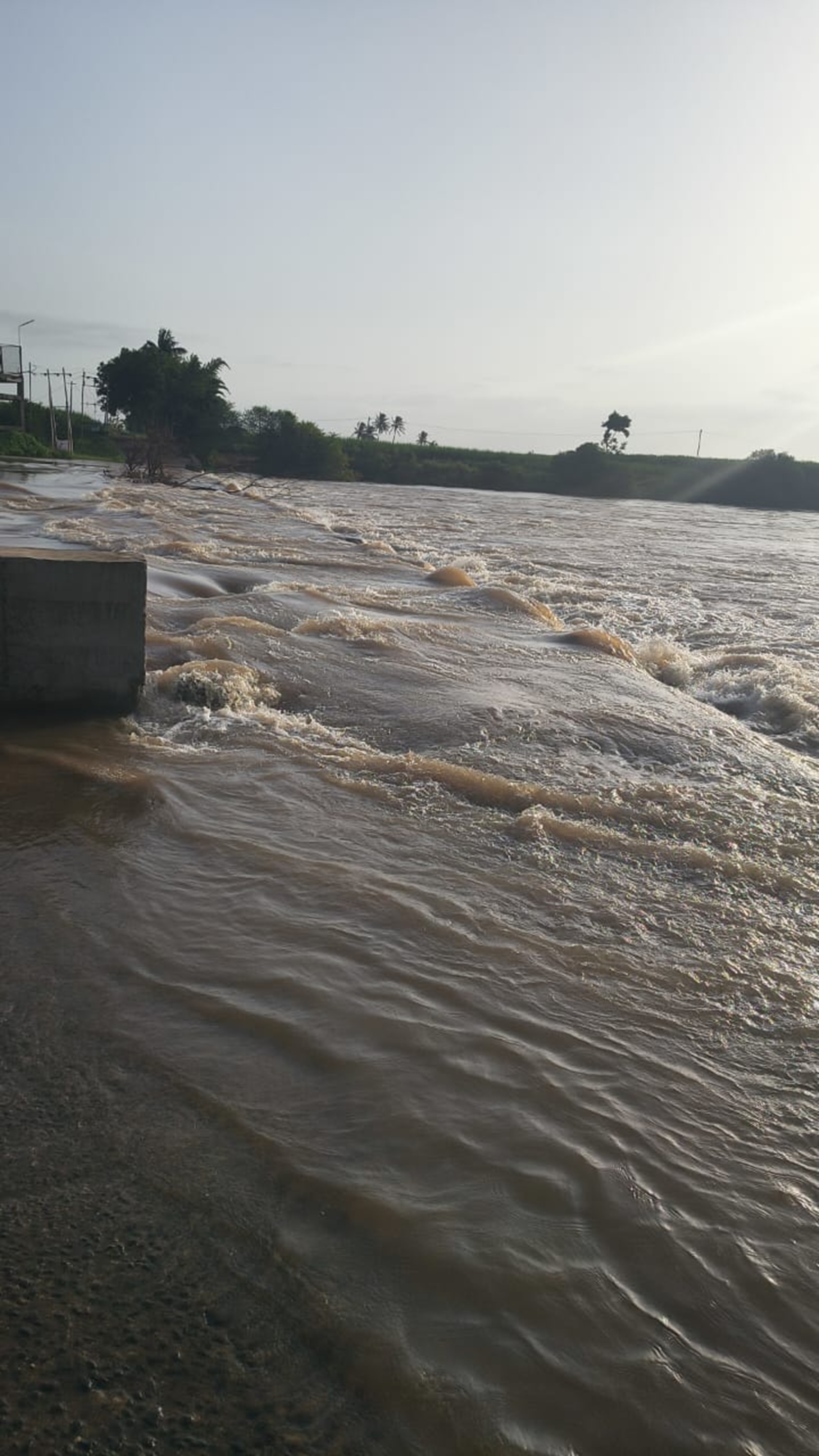 ಮುಧೋಳ ತಾಲ್ಲೂಕು ಜಾಲಿಬೇರಿ ಗ್ರಾಮದ ಬ್ಯಾರೇಜ್ ಘಟಪ್ರಭಾ ನದಿಯ ಪ್ರವಾಹದಿಂದ ಮುಳುಗಡೆಯಾಗಿರುವುದು