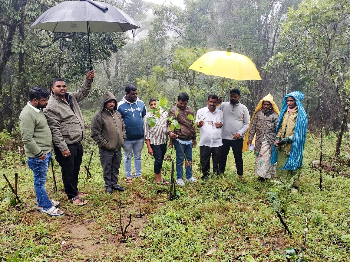 ಆವತಿ ಹೊಸಳ್ಳಿ ಗ್ರಾಮದ ರೈತ ಮಹಿಳೆ ಜಮೀನಿನಲ್ಲಿ ಅರಣ್ಯ ಸಿಬ್ಬಂದಿಗಳು ಗಿಡಗಳನ್ನು ಕಿತ್ತು ಹಾಕಿದ್ದ ಹಿನ್ನೆಲೆ ಮಾಜಿ ಶಾಸಕ ಕುಮಾರಸ್ವಾಮಿ ಭೇಟಿ ನೀಡಿ ಪರಿಶೀಲನೆ ನಡೆಸಿದರು