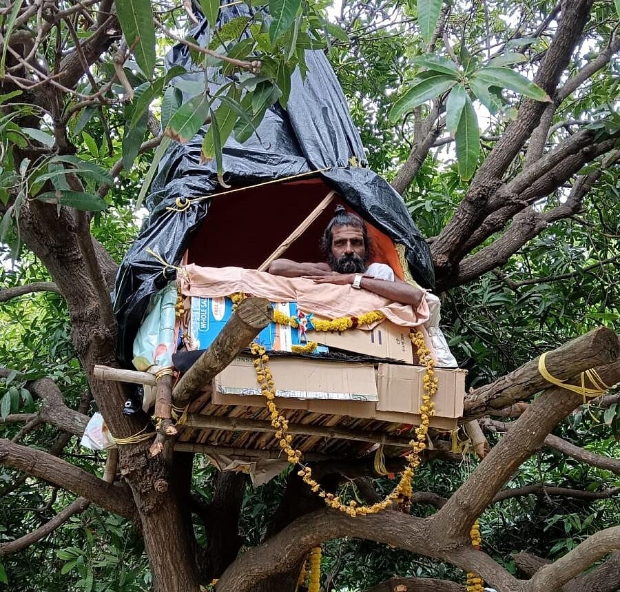 ಕಾರಟಗಿ: ಮಾವಿನ ಮರದಲ್ಲಿ ಮೌನಾನುಷ್ಠಾನ ಕೈಗೊಂಡ ಸ್ವಾಮೀಜಿ