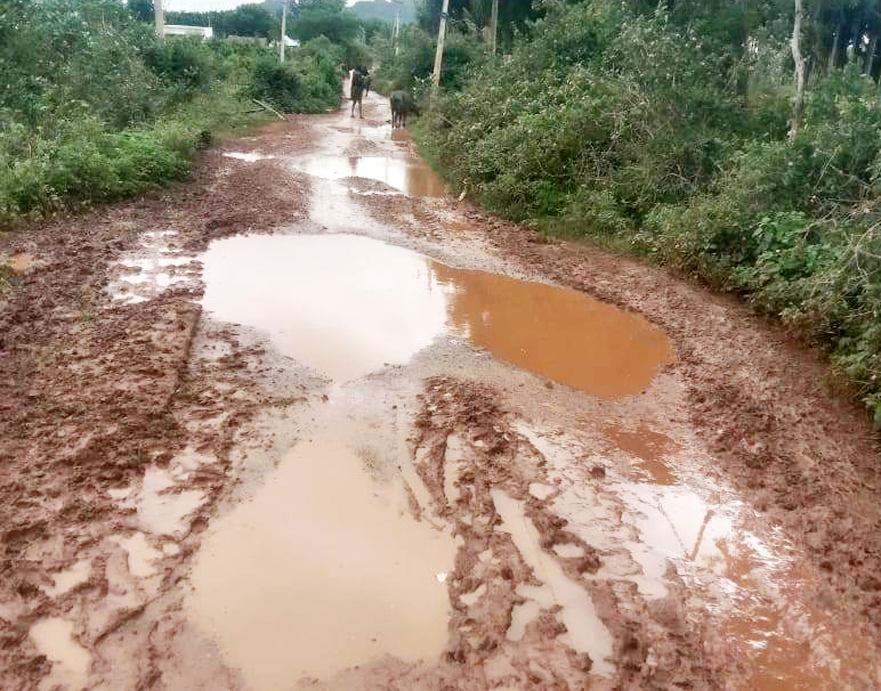 ಮಾರುತಿಹಳ್ಳಿಗೆ ಹೋಗುವ ರಸ್ತೆಯಲ್ಲಿ ಕೆಸರು ತುಂಬಿರುವ ದೃಶ್ಯ.
