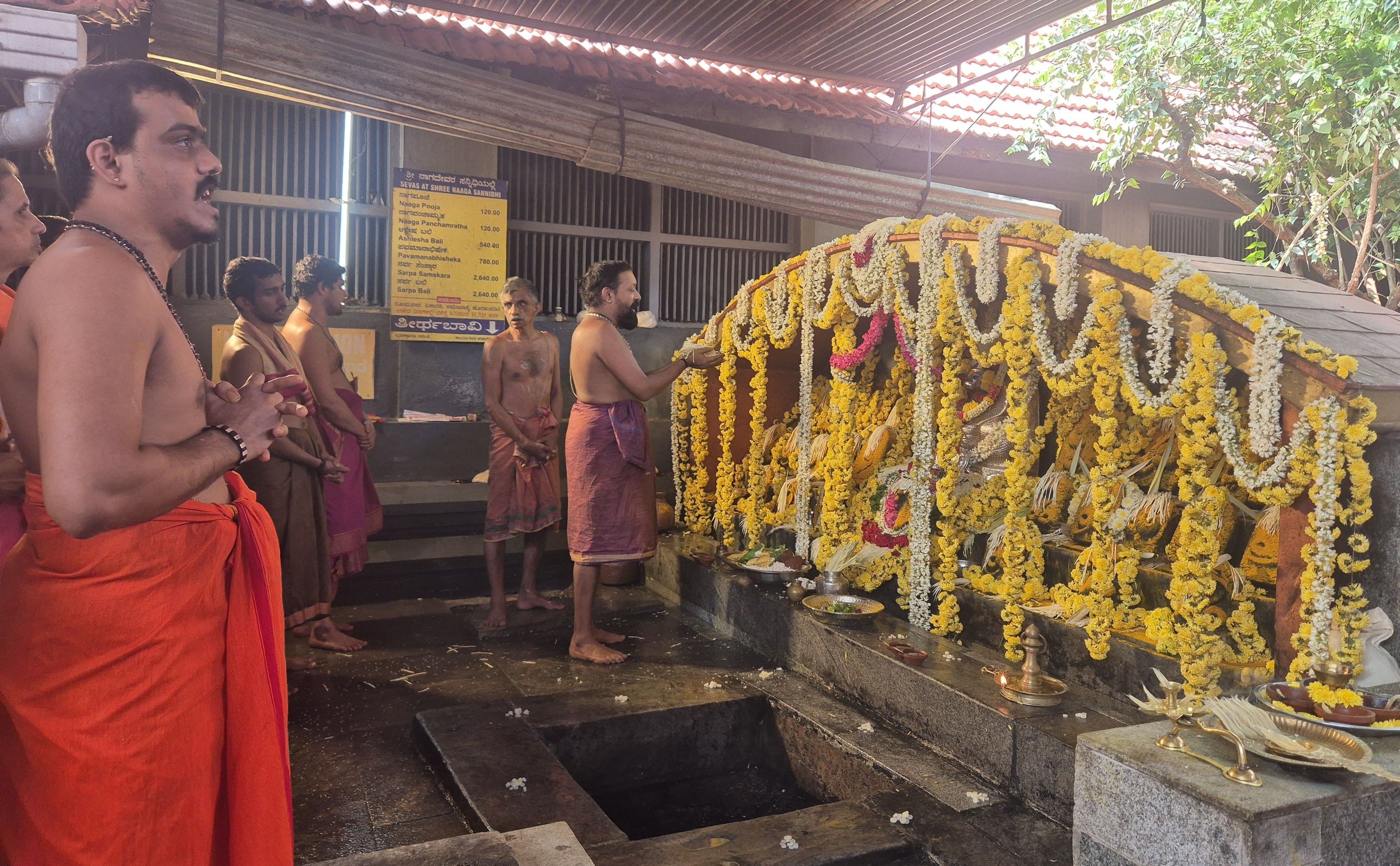 ಕದ್ರಿಯಲ್ಲಿ ವಿಶೇಷ ಅಲಂಕಾರ ಮಾಡಿದ್ದ ನಾಗಬನದಲ್ಲಿ ನಾಗದೇವರಿಗೆ ಪೂಜೆ ಸಲ್ಲಿಸಲಾಯಿತು
