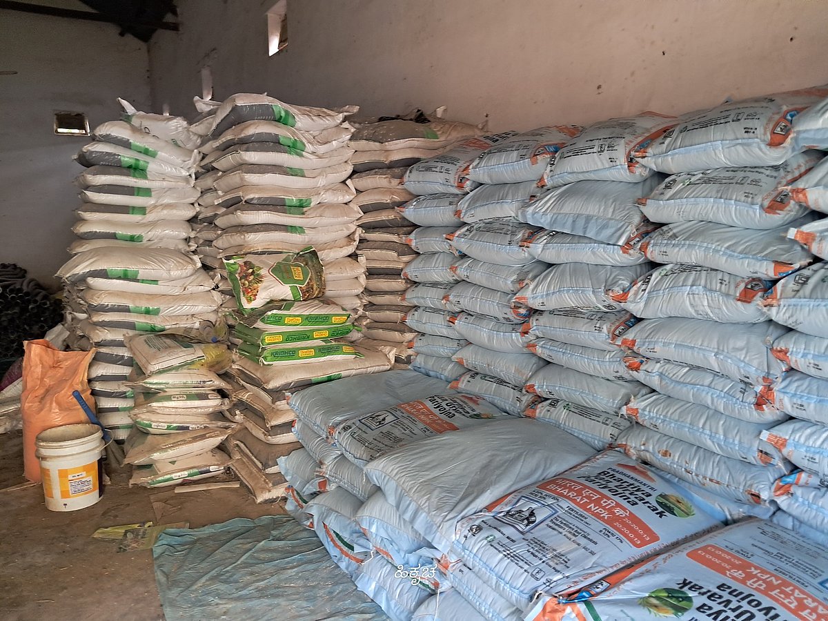 ಹಾಸನಕ್ಕಿಲ್ಲ ರಸಗೊಬ್ಬರ ಕೊರತೆ: 43 ಸಾವಿರ ಟನ್‌ ಯೂರಿಯಾ ಪೂರೈಕೆ