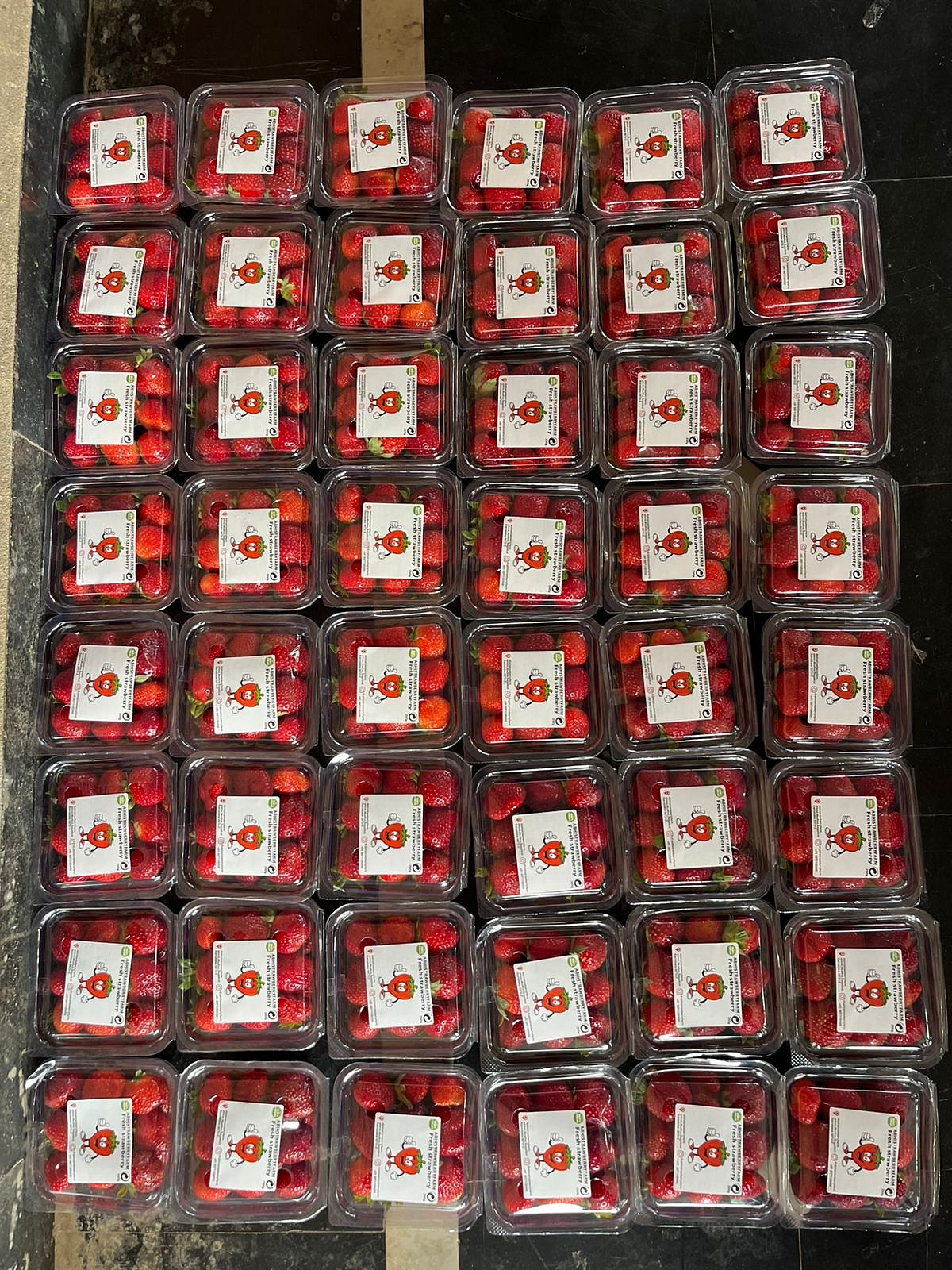 ಮುಧೋಳ: ಸ್ಟ್ರಾಬೆರಿ, ಬ್ಲೂಬೆರಿ ಬೆಳೆದು ಯಶಸ್ವಿಯಾದ ರೈತ