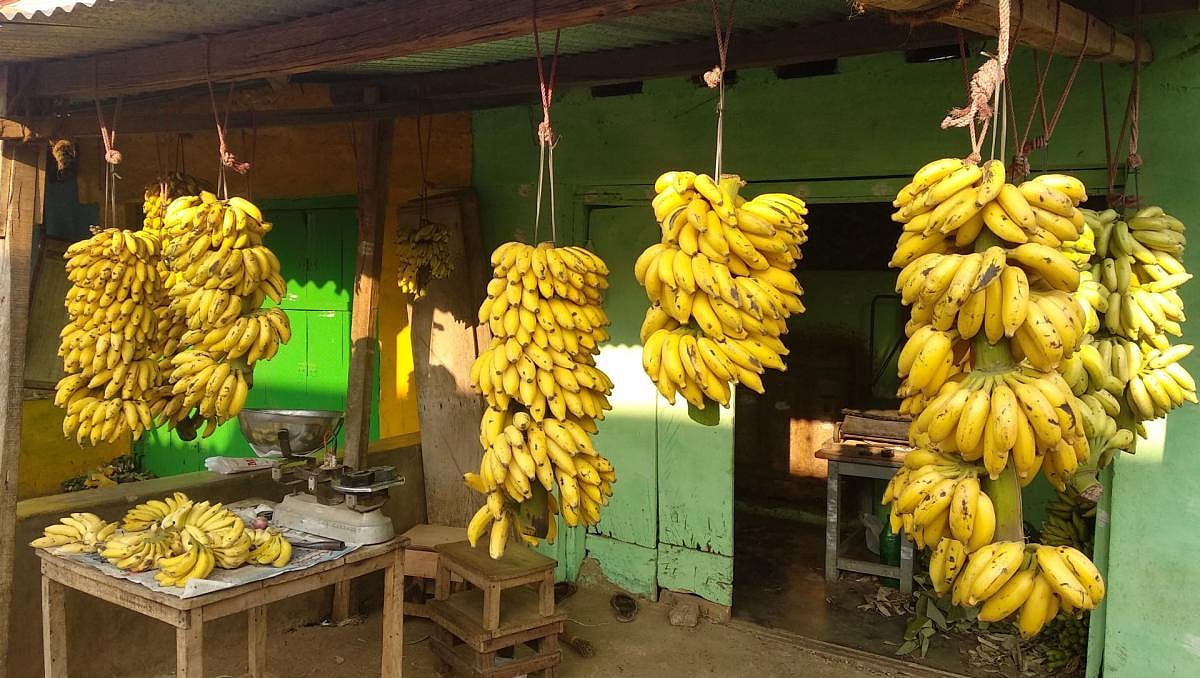 ತುಮಕೂರು | ಮಾರುಕಟ್ಟೆ ವಿಶ್ಲೇಷಣೆ: ಬಾಳೆಹಣ್ಣು, ಟೊಮೆಟೊ ದುಬಾರಿ