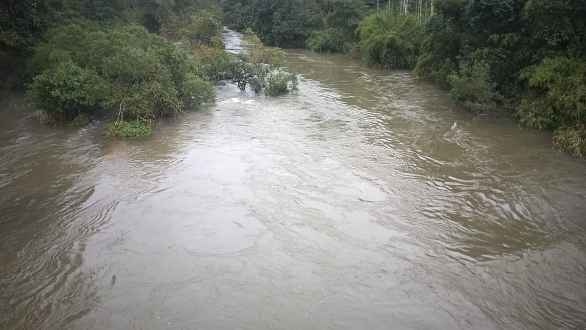 River Rafting : ಬರಪೊಳೆಯಲ್ಲಿ ಭರಪೂರ ಜಲಸಾಹಸ... 