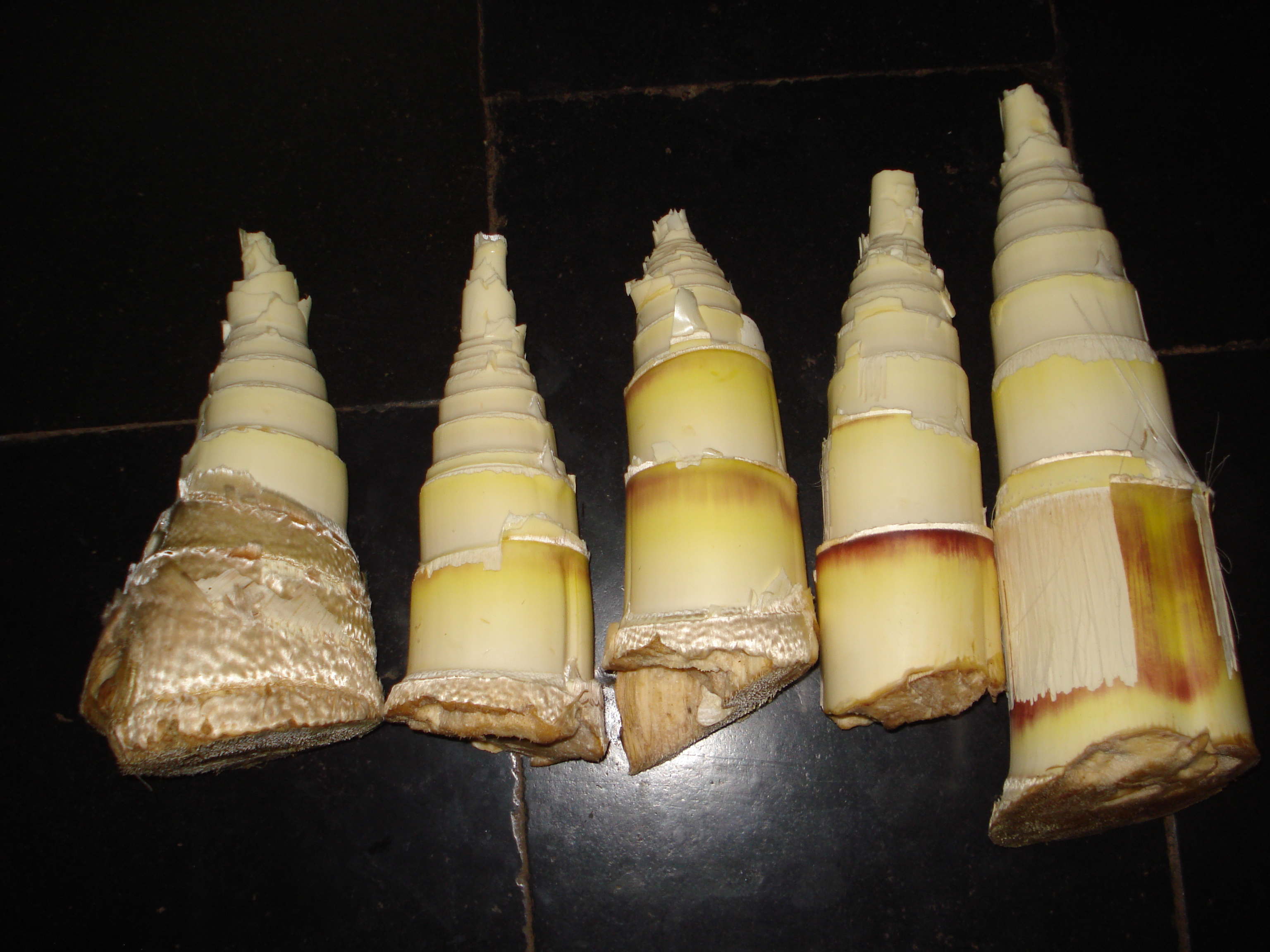 ಬಿದಿರಿನ ಕಳಲೆ
