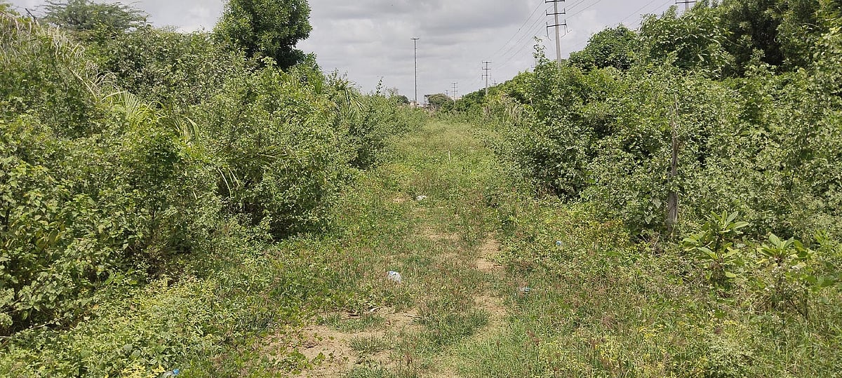 ಸಿಂದಗಿ: ಮನಗೂಳಿ ಕನಸಿನ ಉದ್ಯಾನ ಬಹಿರ್ದೆಸೆ ತಾಣ 