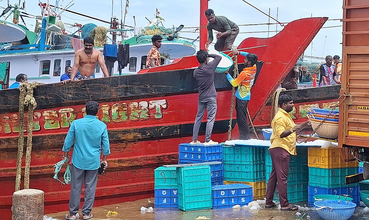 ಕಡಲಿನೆಡೆಗೆ ಮುಖ ಮಾಡಿದ ಟ್ರಾಲ್ ಬೋಟ್‌ಗಳು: ಭರ್ಜರಿ ಮತ್ಸ್ಯ ಫಸಲಿನ ನಿರೀಕ್ಷೆ