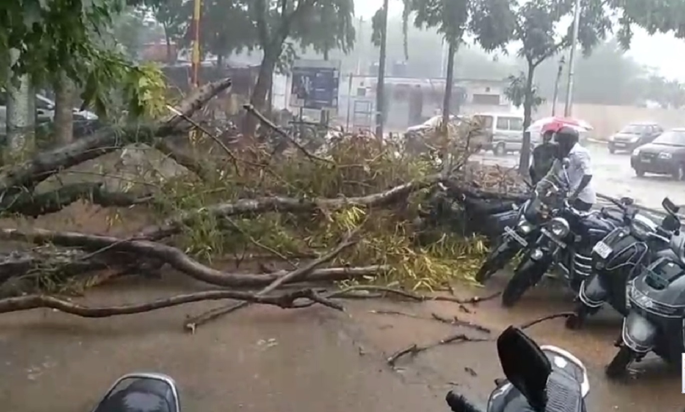 ಕೋಲಾರದ ಜಿಲ್ಲಾಸ್ಪತ್ರೆ ಆವರಣದಲ್ಲಿ ಮರ ಬಿದ್ದು ಬೈಕ್‌ಗಳು ಜಖಂಗೊಂಡಿರುವುದು 