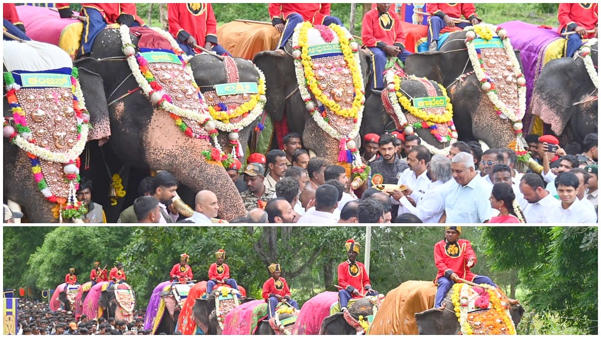 ನಾಡಹಬ್ಬ ದಸರೆಗೆ ಗಜಪಯಣ ಶುರು: ನಾಗರಹೊಳೆಯಿಂದ ಮೈಸೂರಿನತ್ತ ಹೊರಟ ಗಜಪಡೆ