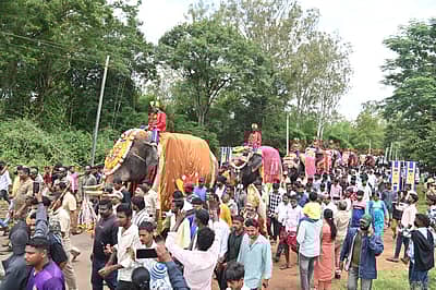 ಮೈಸೂರಿನ ನಾಗರಹೊಳೆ ಹುಲಿ ಸಂರಕ್ಷಿತ ಅರಣ್ಯ ವ್ಯಾಪ್ತಿಯ ವೀರನಹೊಸಹಳ್ಳಿಯಲ್ಲಿ  ಸೋಮವಾರ ನಾಡಹಬ್ಬ ದಸರೆಯಲ್ಲಿ ಪಾಲ್ಗೊಳ್ಳುವ ಕ್ಯಾಪ್ಟನ್ ಅಭಿಮನ್ಯು ನೇತೃತ್ವದ 9 ಆನೆಗಳ ‘ಗಜಪಯಣ’ ದಲ್ಲಿ ಅರಣ್ಯ ಸಚಿವ ಈಶ್ವರ್ ಕಂಡ್ರೆ ಅವರು ಪೂಜೆ ಸಲ್ಲಿಸಿದರು. ಸಚಿವ ಕೆ. ವೆಂಕಟೇಶ್, ಸಂಸದ ಸುನಿಲ್ ಬೋಸ್, ಡಿಸಿ ಲಕ್ಷ್ಮಿಕಾಂತ್ ರೆಡ್ಡಿ, ಮರಿಗೌಡ, ಪುಷ್ಪ ಅಮರನಾಥ್, ಶಾಸಕರಾದ ರವಿಶಂಕರ್, ಅನಿಲ್ ಚಿಕ್ಕಮಾದು, ಜಿ.ಡಿ. ಹರೀಶ್ ಗೌಡ, ಐಜಿಪಿ ಬೋರಲಿಂಗಯ್ಯ, ಎಸ್.ಪಿ ವಿಷ್ಣುವರ್ಧನ್ ಹಾಗೂ ಇತರರು ಭಾಗವಹಿಸಿದರು. ಪ್ರಜಾವಾಣಿ ಚಿತ್ರ/ ಅನೂಪ್ ರಾಘ.ಟಿ.