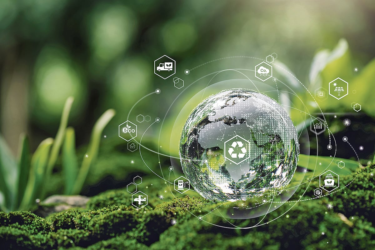 ವಿಶ್ಲೇಷಣೆ: ಸುಸ್ಥಿರ ನಾಳೆಗೆ ಜೈವಿಕ ಇಂಧನ