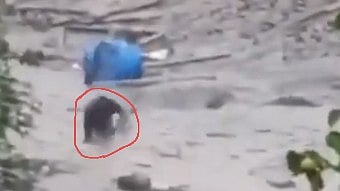 ಉತ್ತರಕಾಶಿ ಮೇಘಸ್ಫೋಟ: ಮಣ್ಣಿನಡಿಯಿಂದ ತೆವಳಿಕೊಂಡು ಬಂದು ಸಾವಿನ ದವಡೆಯಿಂದ ಪಾರಾದ!