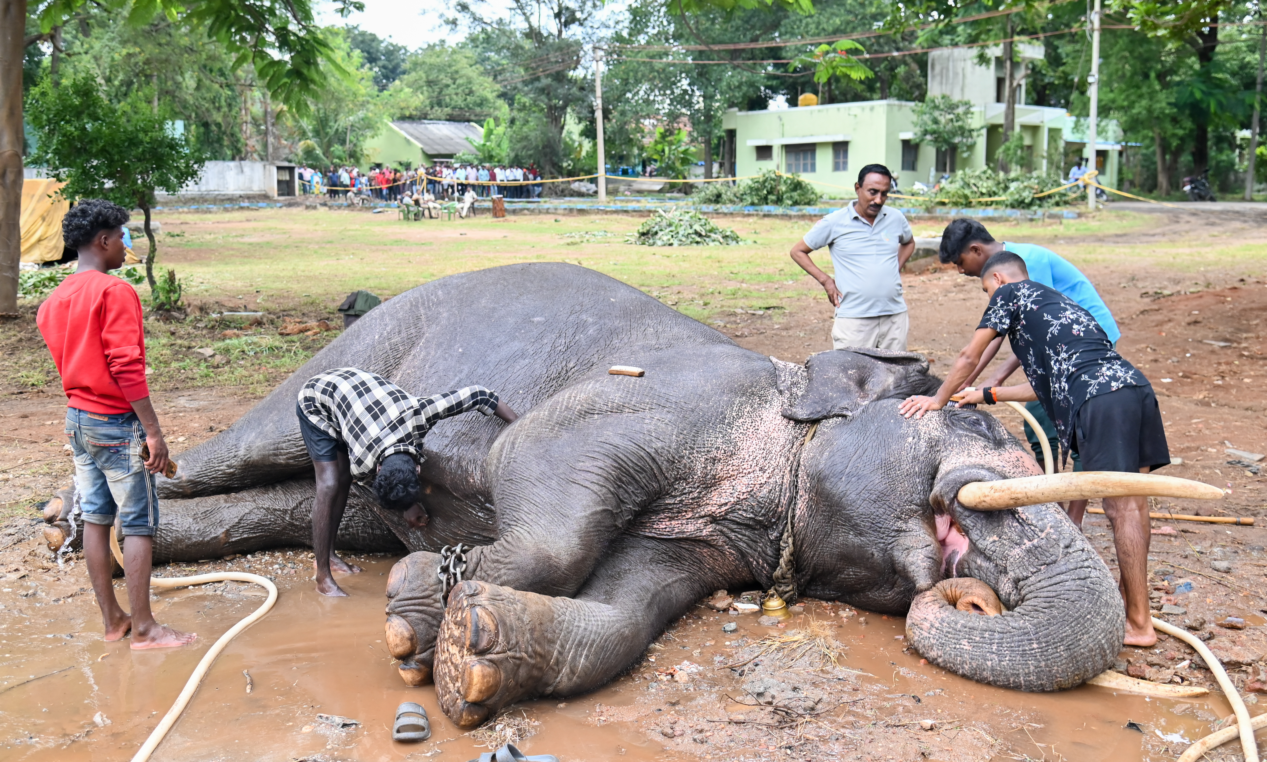 ಮಜ್ಜನದ ಖುಷಿಯಲ್ಲಿ ‘ಪ್ರಶಾಂತ’