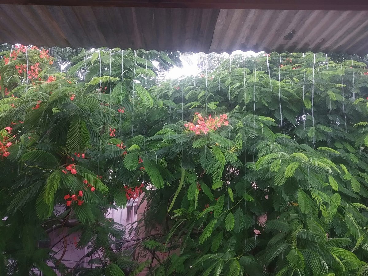 Karnataka Rains | ಕಲಬುರಗಿಯಲ್ಲಿ ಬಿರುಸಿನ ಮಳೆ