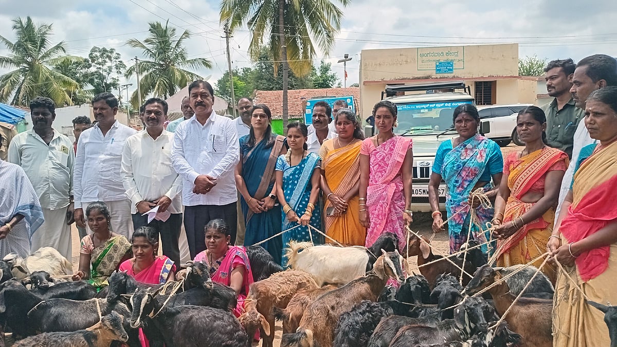 ಮೇಕೆಗಳು ನಡೆದಾಡುವ ಎಟಿಎಂ: ಶಾಸಕ ಕೃಷ್ಣಮೂರ್ತಿ