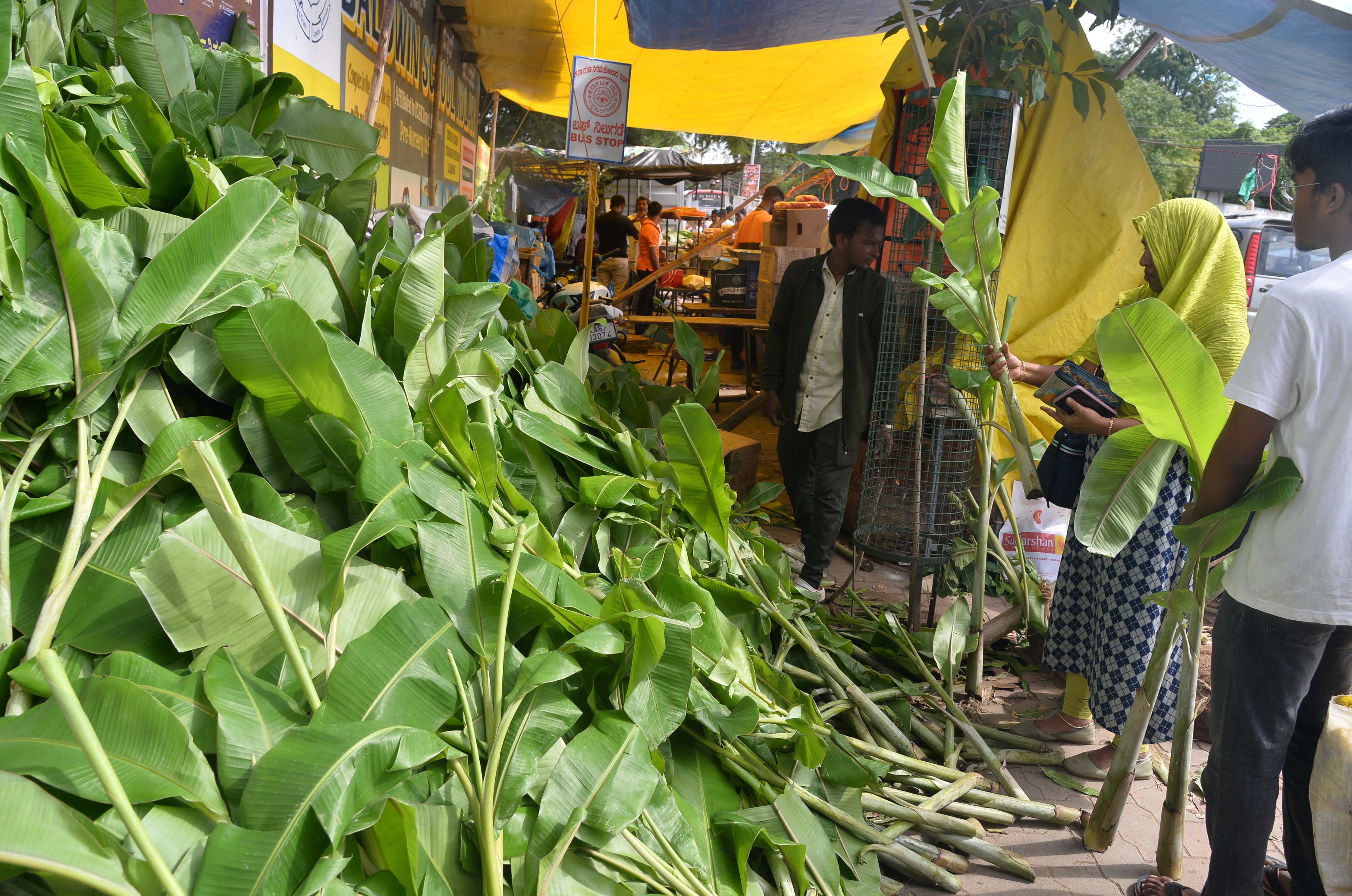 ಹಬ್ಬಕ್ಕೆ ಬಾಳೆ ದಿಂಡು ಖರೀದಿ