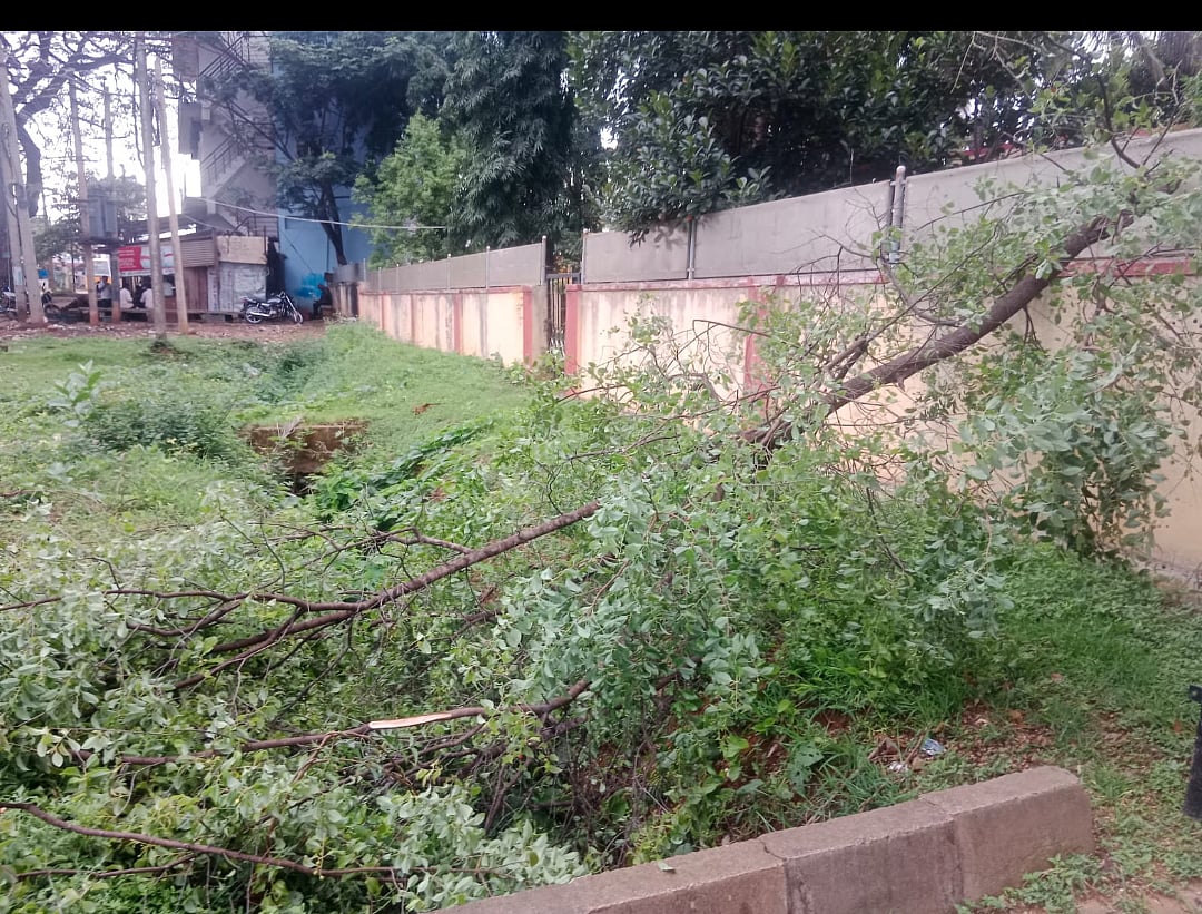 ಗುಬ್ಬಿ: ತಹಶೀಲ್ದಾರ್ ವಸತಿ ಗೃಹ ಆವರಣದ ಗಂಧದ ಮರ ಕಳವು