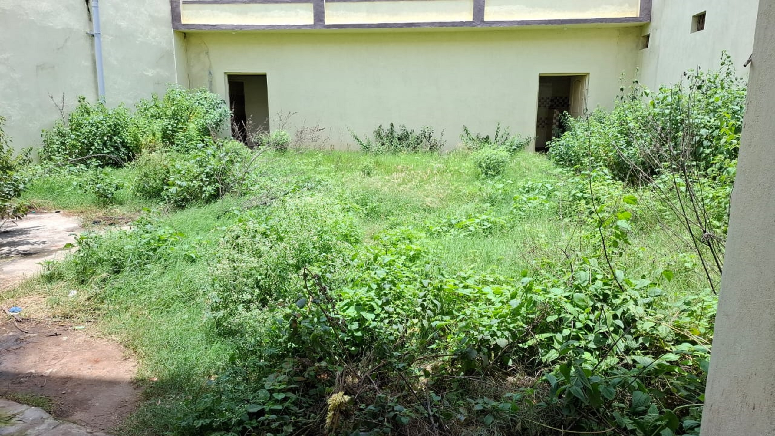 ಶೌಚಾಲಯದ ಸುತ್ತ ಗಿಡಗೆಂಟೆಗಳು ಬೆಳೆದಿರುವುದು