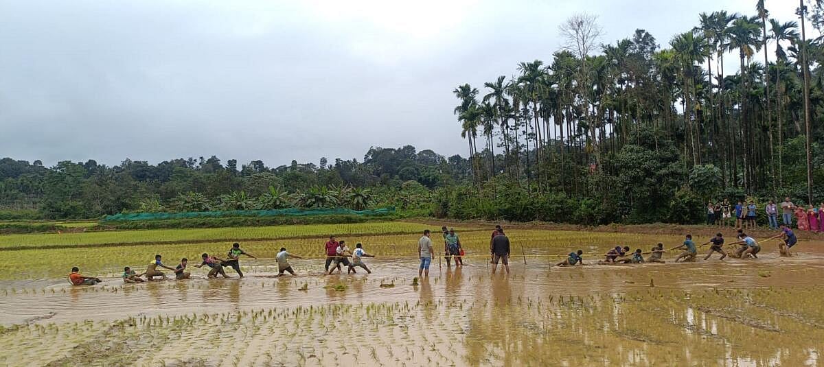 ನಾಪೋಕ್ಲು: ಕೆಸರಿನಲ್ಲಿ ಮಿಂದ ವಿದ್ಯಾರ್ಥಿಗಳು