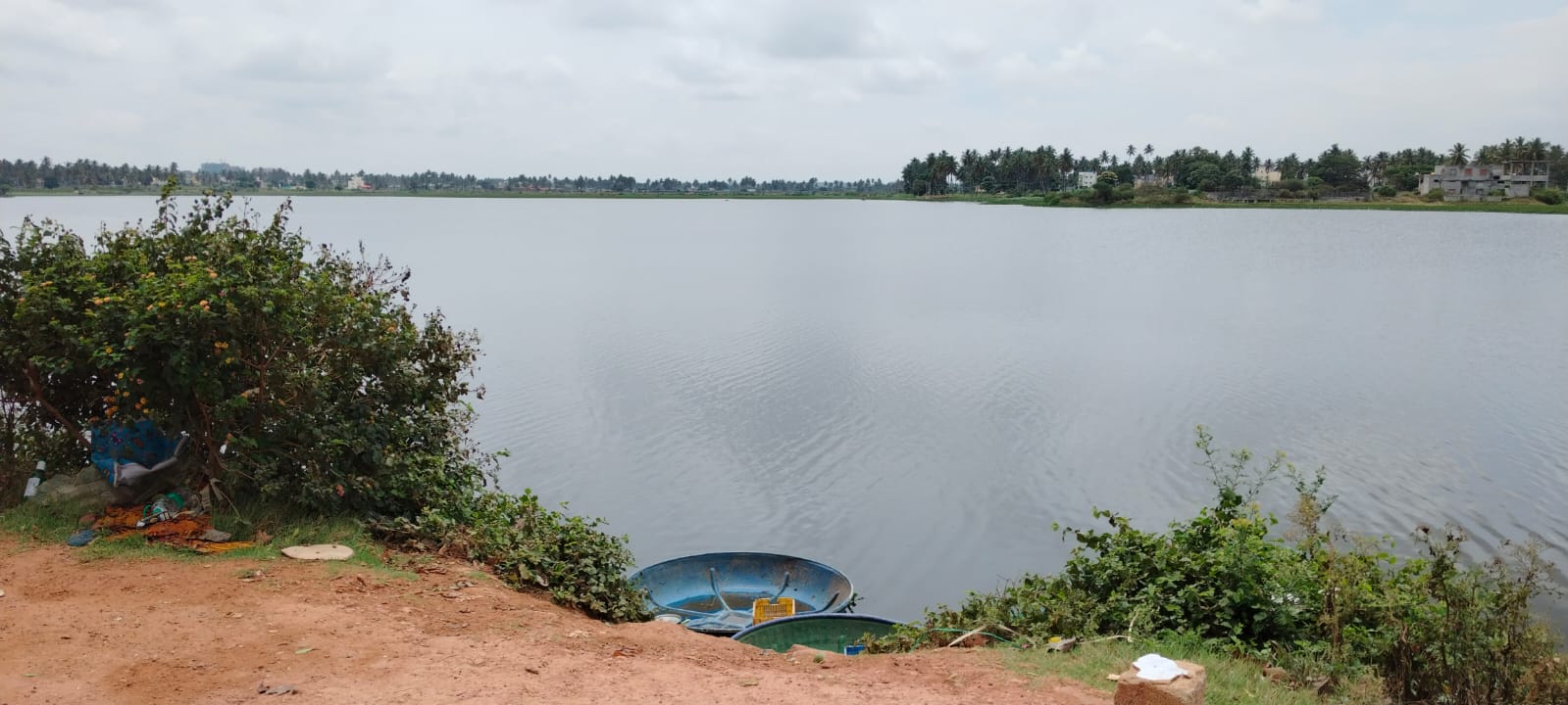 ದೊಡ್ಡಅಮಾನಿಕೆರೆ