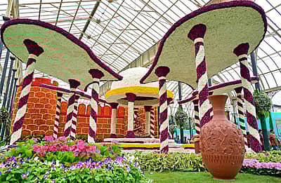 ಈ ಪ್ರದರ್ಶನ ಆಗಸ್ಟ್ 16ರವರೆಗೆ ನಡೆಯಲಿದೆ