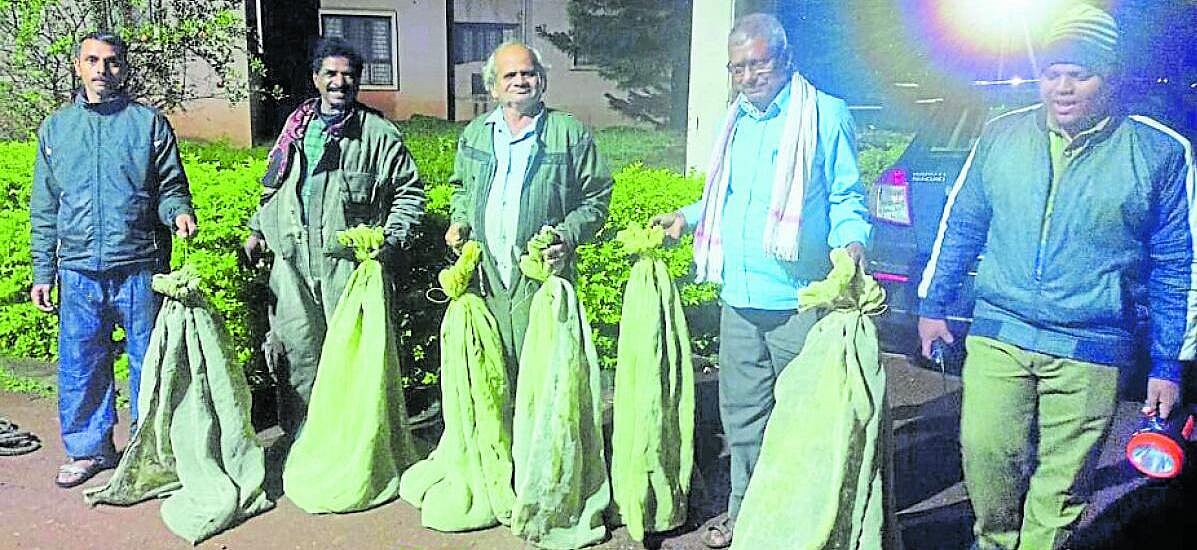 ಯಲ್ಲಾಪುರ | ಜೇನು ಸಾಕಣೆ–ರಕ್ಷಣೆಯೇ ಜೀವನ: ವೈಜ್ಞಾನಿಕ ಹೆಜ್ಜೇನು ಕೊಯ್ಲ ತರಬೇತಿ 