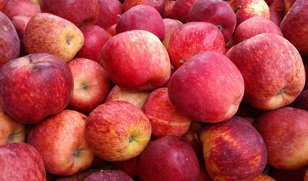 ತುಮಕೂರು | ಸೇಬು ಇಳಿಕೆ; ಏಲಕ್ಕಿ ಬಾಳೆಹಣ್ಣು ದುಬಾರಿ