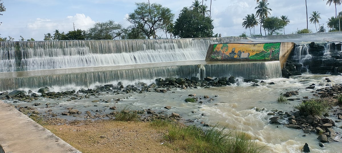 ಹಾನಗಲ್ | ಕಂಚಿನೆಗಳೂರ ವಡ್ಡು; ಜಲರಾಶಿಯ ವೈಭವ