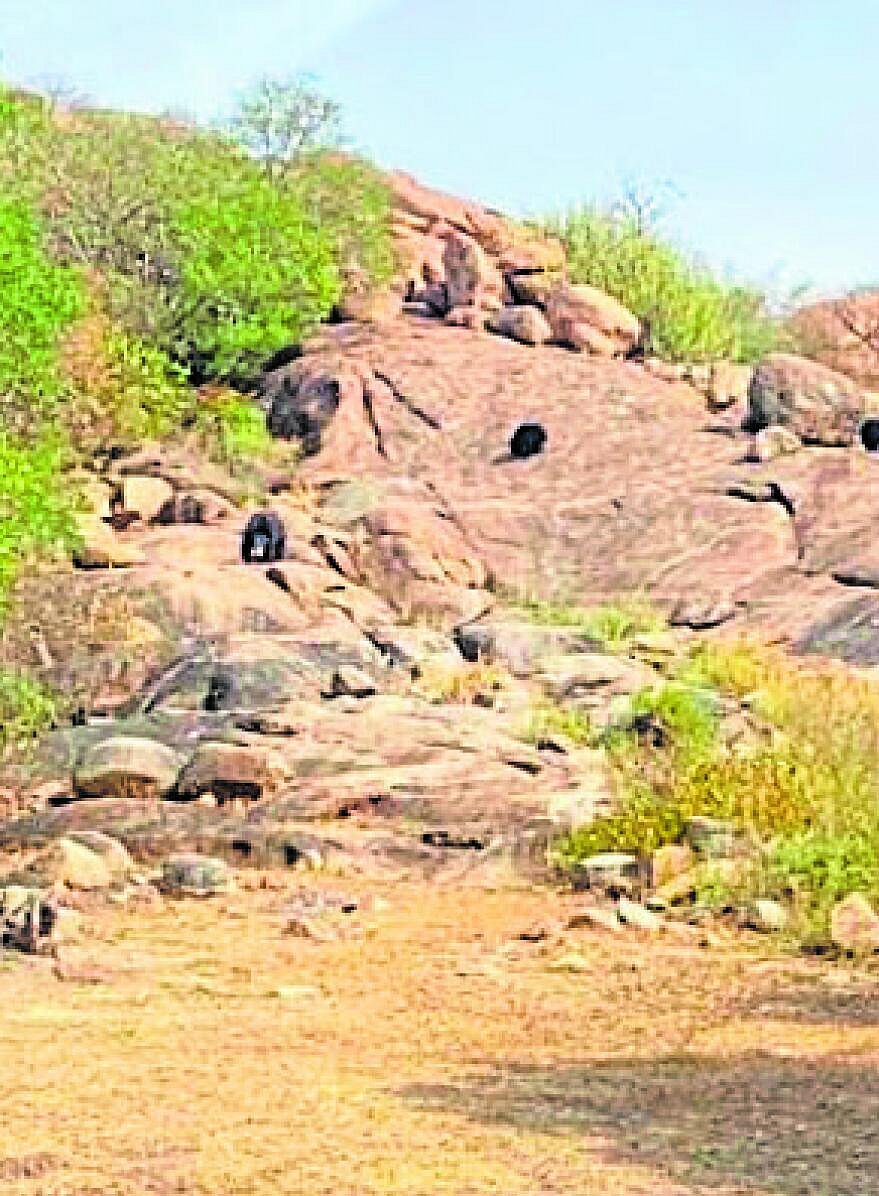 ಹೊಸಪೇಟೆ | ದರೋಜಿ ಕರಡಿಧಾಮ: ಫೋಟೊ ಬಂದ್‌!