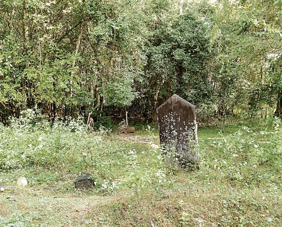 ದೇವರ ಕಾಡುಗಳ ಕುರಿತ ಅಧ್ಯಯನ: ಕಾಡು ಉಳಿಸಿದ ಜನರ ನಂಬಿಕೆ