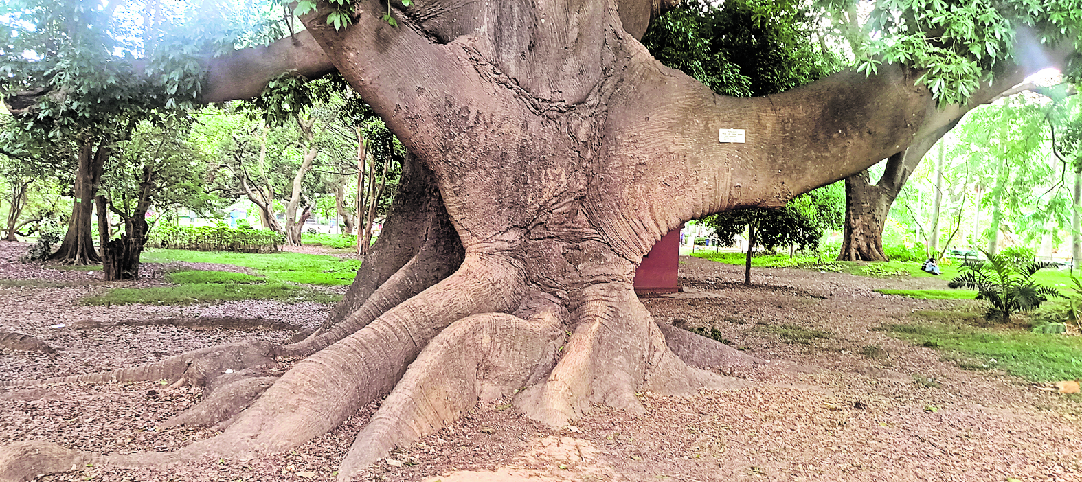 ಸಾಂದರ್ಭಿಕ ಚಿತ್ರ 