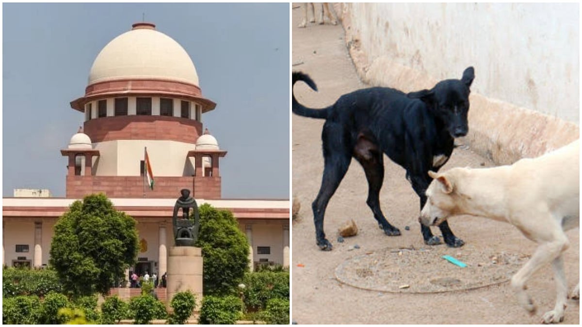 ಬೀದಿ ನಾಯಿಗಳ ನಿಯಂತ್ರಣ: ನ್ಯಾಯಾಲಯದ ಆವರಣದೊಳಗಿನ ಆಹಾರ ವಿಲೇವಾರಿಗೆ SC ನಿರ್ದೇಶನ