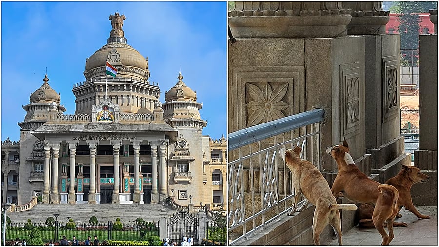 ದಯವಿಟ್ಟು ವಿಧಾನಸೌಧವನ್ನು ನಾಯಿಗಳಿಂದ ರಕ್ಷಿಸಿ: ಶಾಸಕರಿಂದ ಸ್ಪೀಕರ್‌ಗೆ ಮನವಿ

