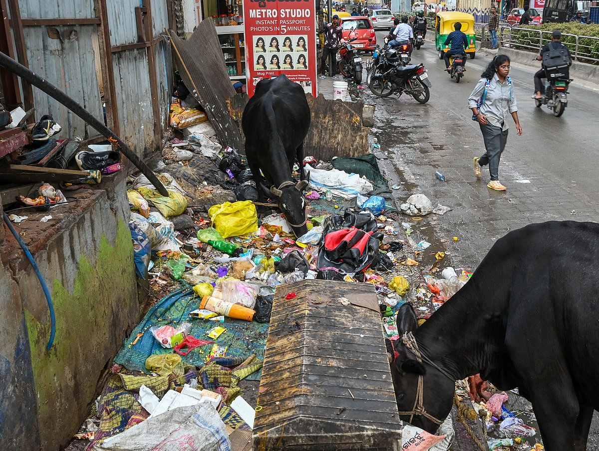 ಹಲಸೂರು | ಪಾದಚಾರಿ ಮಾರ್ಗದಲ್ಲಿ ಕಸದ ರಾಶಿ: ಮೂಗುಮುಚ್ಚಿ ನಡೆದಾಡುವ ದುಃಸ್ಥಿತಿ