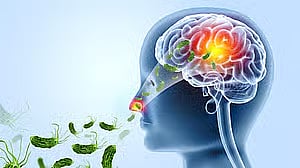 ಮಿದುಳು ತಿನ್ನುವ ಅಮೀಬಾಗೆ ಕೇರಳದಲ್ಲಿ ಮತ್ತೊಬ್ಬ ಬಾಲಕಿ ಸಾವು; ಮೂಡಿದ ಆತಂಕ