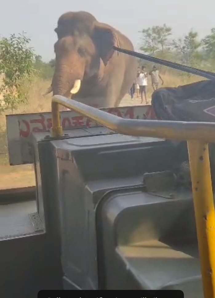 ಗುಳ್ಳಹಟ್ಟಿ ಗ್ರಾಮದಲ್ಲಿ ಬಿಎಂಟಿಸಿ ಬಸ್ ಅಡ್ಡವಾಗಿ ಬಂದಿದ್ದ ಕಾಡಾನೆ
